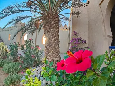 a palm tree in a garden with flowers at Auberge Merzane in Merzane