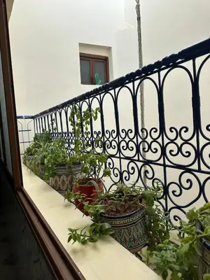 a balcony with three potted plants on a railing at Dar Dyafa in Marrakech 5 minutes from the Airport in Oulad Akkou