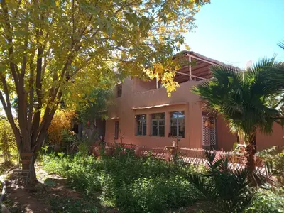 a house with a palm tree in front of it at skoura in Oulad el Guern