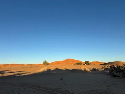 a desert with sand dunes and trees in the distance at Merzouga Infinity Dunes Camp in Merzouga