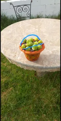 a basket of fruit sitting on top of a table at Havre de paix à la campagne in El Hajeb