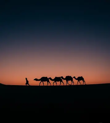 a man walking a group of camels in the desert at Nomad Haven Luxury Camp in Merzouga
