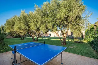 a blue ping pong table in a yard with trees at Bali family villa 0 vis-à-vis in Chouiter