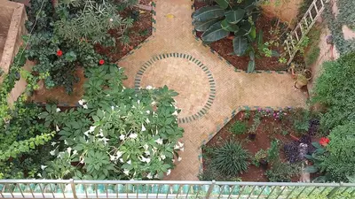 an overhead view of a garden with flowers and plants at JNANE RBATI Apartement in Fès
