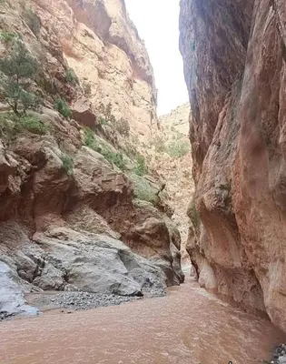 a canyon with a river in the middle of a mountain at KASBAH DES MONTAGNS maisons d'hôtes la vallée des roses in Bou Tharar