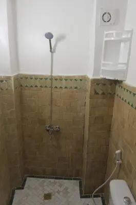 a bathroom with a shower with a toilet at Riad Dalal in Fès