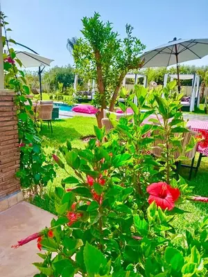 a garden with a red flower bush and an umbrella at Villa Hasard Marrakech in Had Abdallah Rhiat