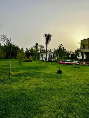 a green field with palm trees in a park at Villa Hasard Marrakech in Had Abdallah Rhiat