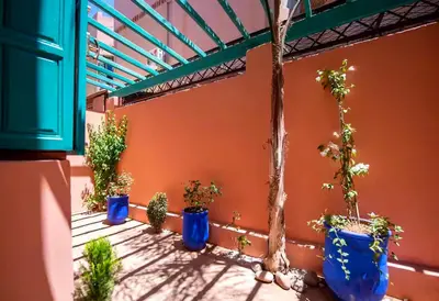 a group of potted plants sitting on a patio at Modern Elegance & Moroccan Charm 5 min Hivernage in Oulad Akkou