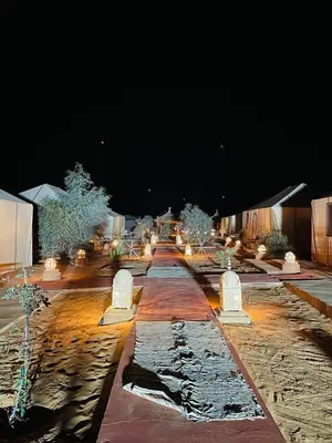 a long pathway with trees and lights at night at Golden Silence Camp in Merzouga