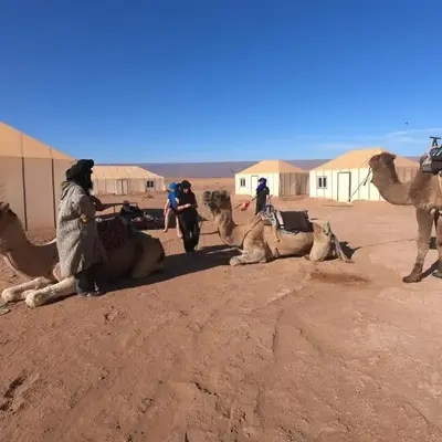 StarlitDesertCamp