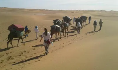 a group of people walking in the desert with camels at Bivouac Dune Iriki in Foum Zguid