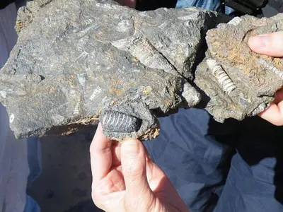 a person holding up a piece of rock at Bivouac Dune Iriki in Foum Zguid