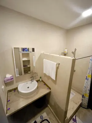 a bathroom with a sink and a mirror at villa Les Jardins D'atlas in Oulad Akkou