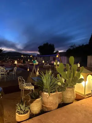 a group of potted plants on a patio at night at Dunes Luxury Lodge in Merzouga