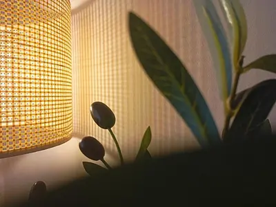 a room with a lamp and a plant next to a window at Appartement moderne 2 chambres À 5 min de l'aéroport RAK avec Wi-Fi rapide in Oulad Akkou