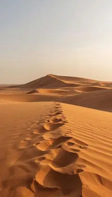 a sand dune in the middle of a desert at Star Dunes in Mhamid