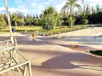 a dog walking on a sidewalk in a park at Luxury Villa with Private XXL Pool in Azib Oulad Lâdem