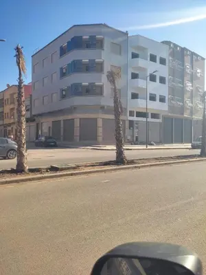 a building with palm trees in front of a street at mina residence