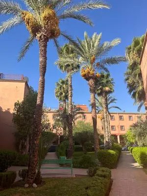 a park with palm trees and a bench in front of a building at Riad Tiklit in Oulad Akkou
