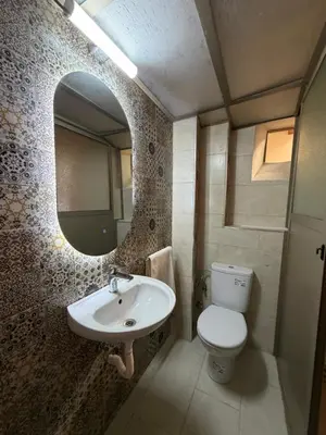 a bathroom with a sink and a toilet and a mirror at Dar Al Rcif in Station Bab Ftouh