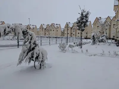 a snow covered yard with houses in the background at Les jardins d'ifrane 400 in Ifrane