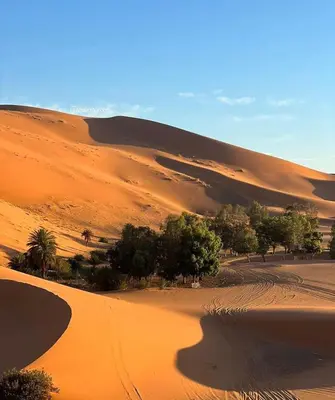 a desert with trees and a dirt road in the distance at beststaysbylocal in Merzouga