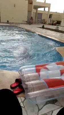 a swimming pool with red flip flops in the water at Étage dans une villa avec piscine partagée Meknès in Meknès