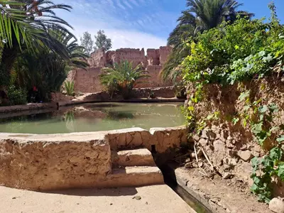 a pond in the middle of a desert with palm trees at Kasbah Anisi