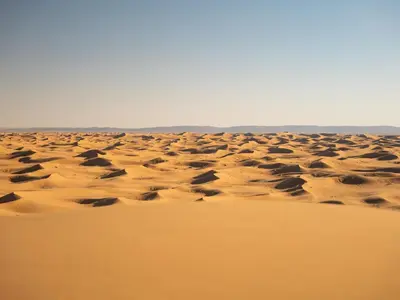 a field of sand in the desert at Authentic Sahara with Locals in Tagounite
