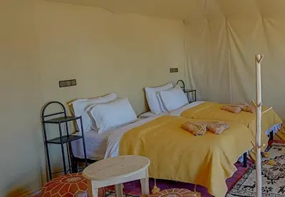 two cats laying on a bed in a bedroom at Celestial Dunes Camp in Merzouga
