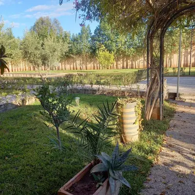 a garden with a fence and plants in the grass at Villa Imane in Marrakech private pool in El Aouina