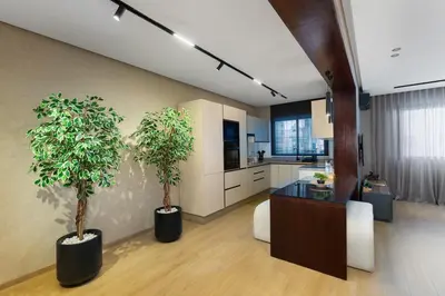 a kitchen with two potted trees in a room at Modern Loft in City Center in Oulad Akkou