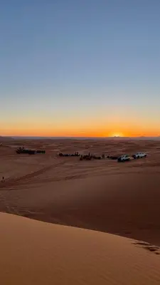 a group of animals walking on the beach at sunset at Royal Erg Chebbi Luxury Camp in Hassilabied