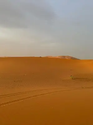 a desert with a vehicle in the distance at Family Dunes Camp in Merzouga