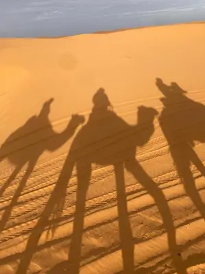 a group of people riding camels in the desert at Family Dunes Camp in Merzouga