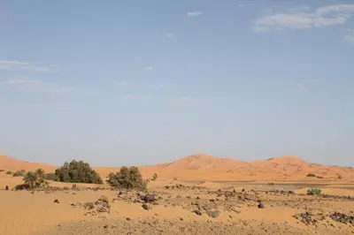 a desert with trees and hills in the distance at dorada apartamento in Merzouga