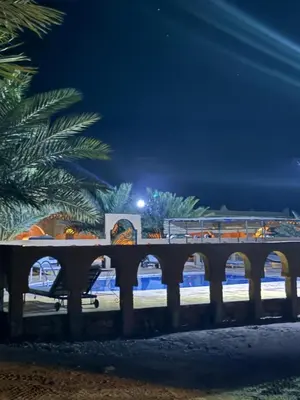 a wooden bridge at night with a palm tree at Auberge el oasis mharech in Foum Mharech