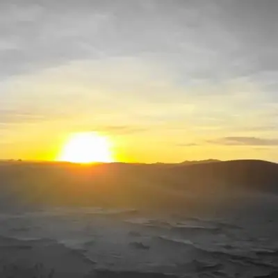 Desert feet