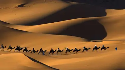 a group of camel riders riding through the desert at Desert Moon Camp in Merzouga