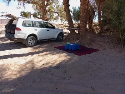 a white car parked next to a tree on the beach at Desert Moon Camp in Merzouga