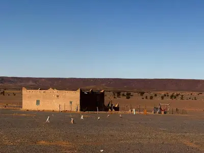 a building in the middle of a desert with birds around it at Your Berber House in Merzouga