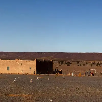 Your Berber House