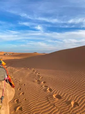 a group of footprints in the sand in the desert at Bein Merzouga Camp in Merzouga