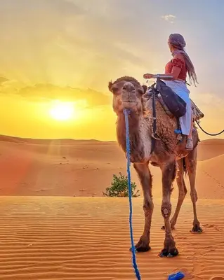 a person riding a camel in the desert at Moonrise Luxury Camp in Merzouga