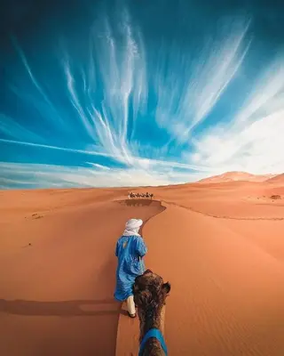 a person walking in the desert with a dog at Moonrise Luxury Camp in Merzouga