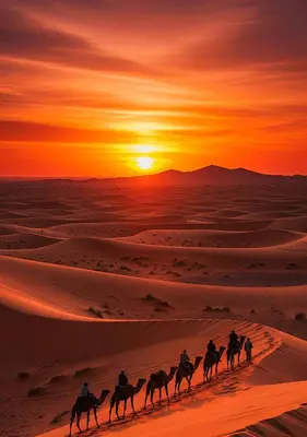 a group of people riding horses in the desert at sunset at Erg Palace Luxury Camp in Merzouga