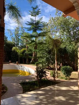 a pine tree in front of a skate park at Villa ourika in Aghmat