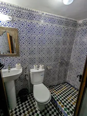 a bathroom with a white toilet and a sink at Riad dar milouda in Fès