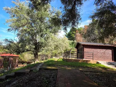 a path leading to a building and a tree at Auberge RAMZ'S in Beni Mellal